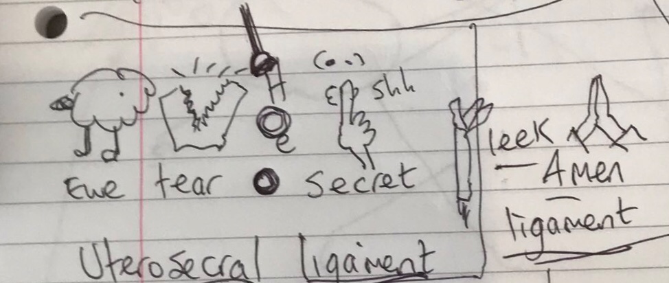 Syllable Association Drawing (SAD) Memory Technique