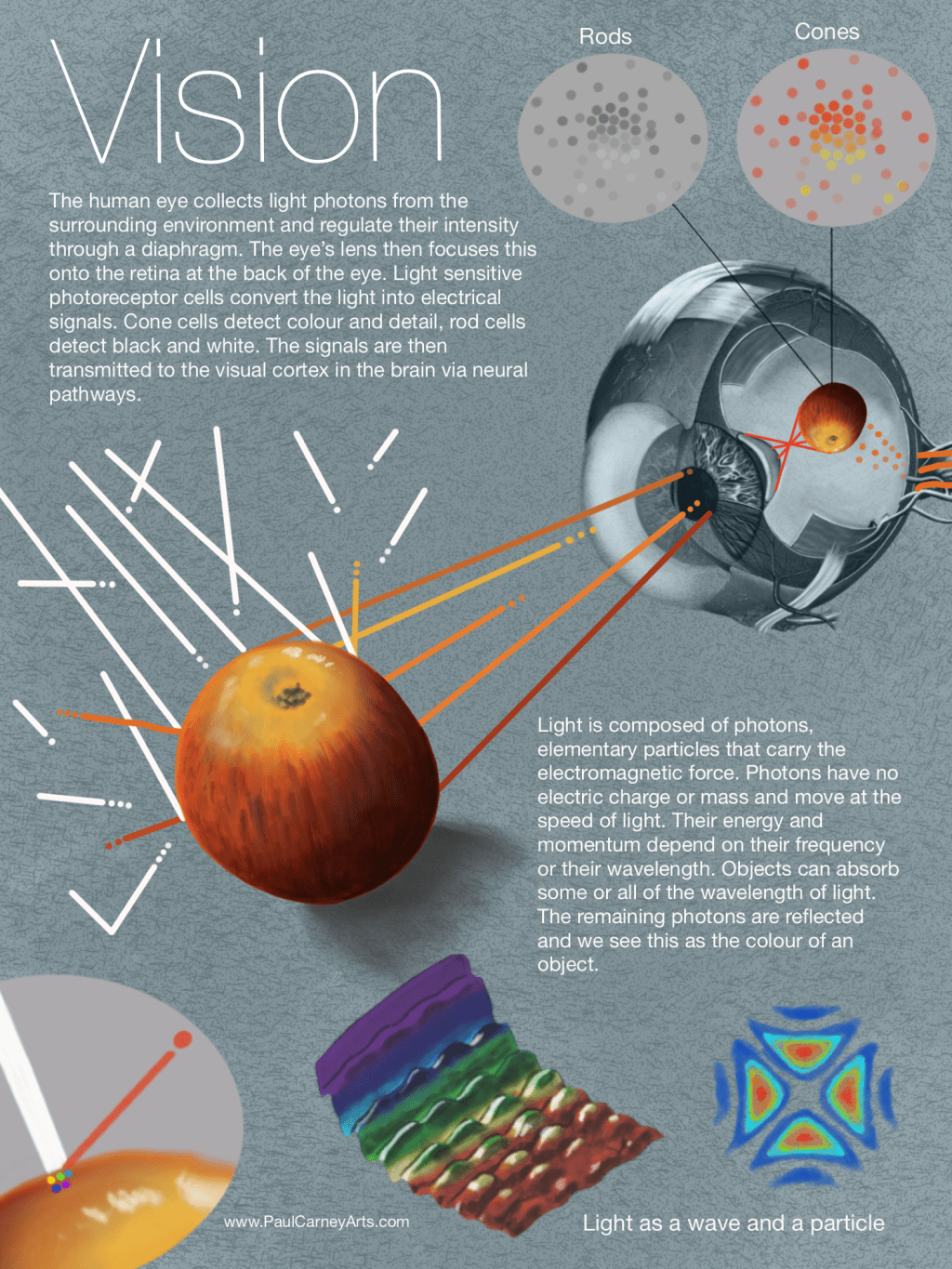 Vision and its impact on&nbsp;learning