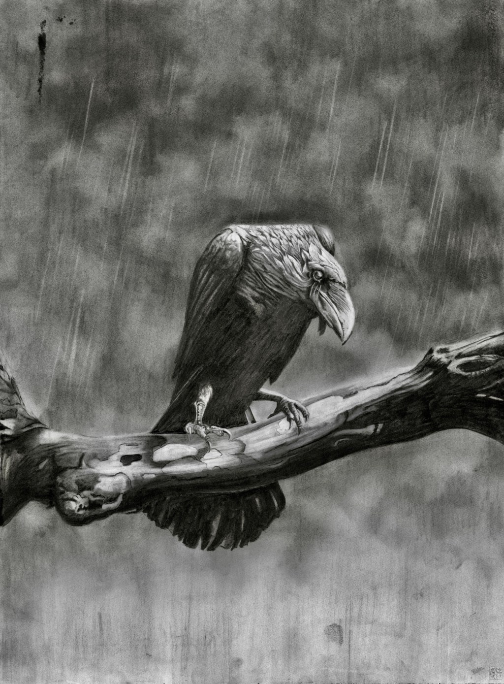 Crows, crows, and more damn&nbsp;crows