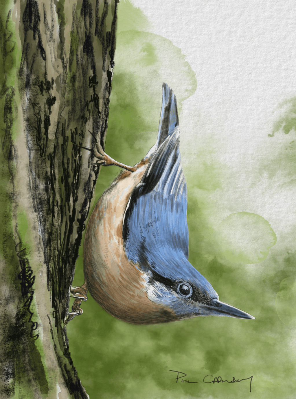 A bit of a&nbsp;twitch