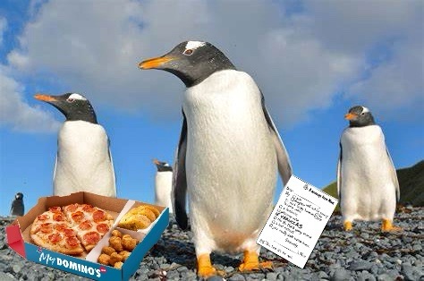 DeliverGentoo Penguin