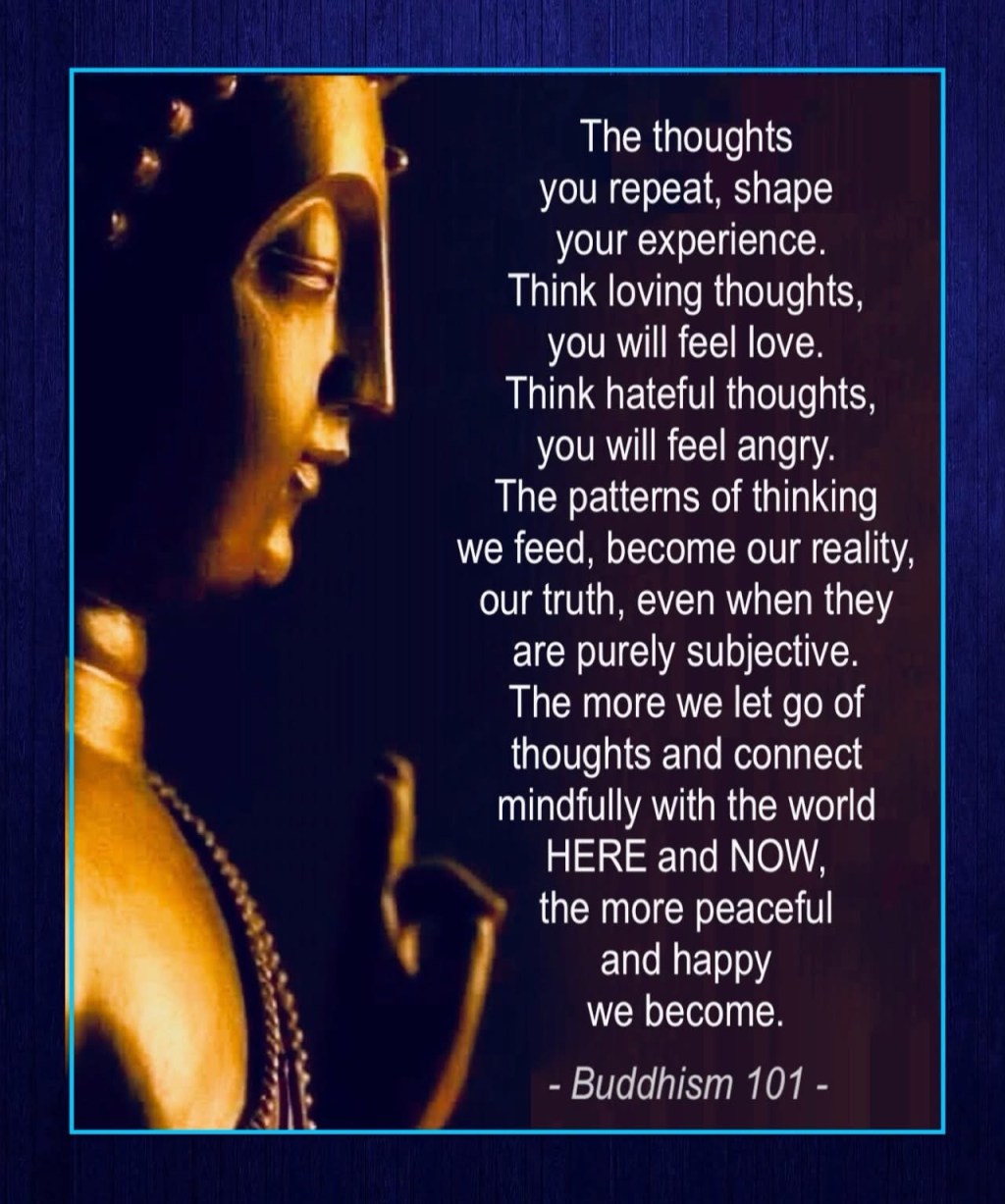 Could’s and Should’s