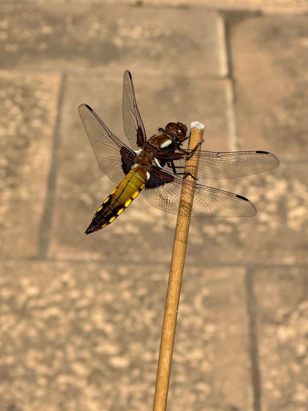 The wonder of&nbsp;nature