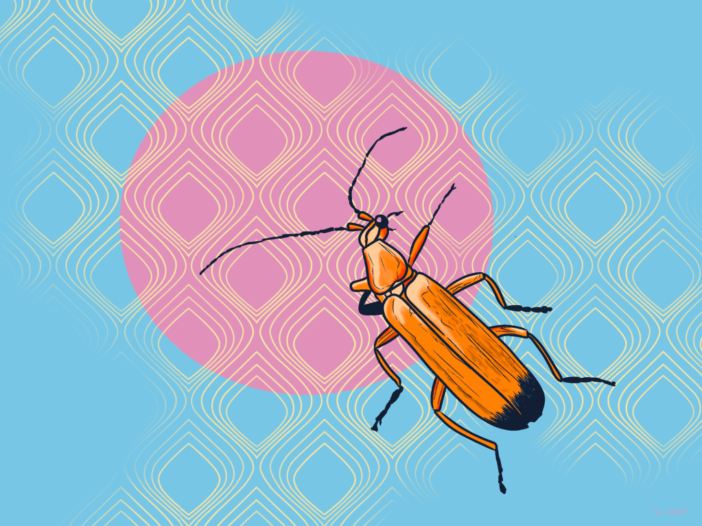 Beautiful Insect Art