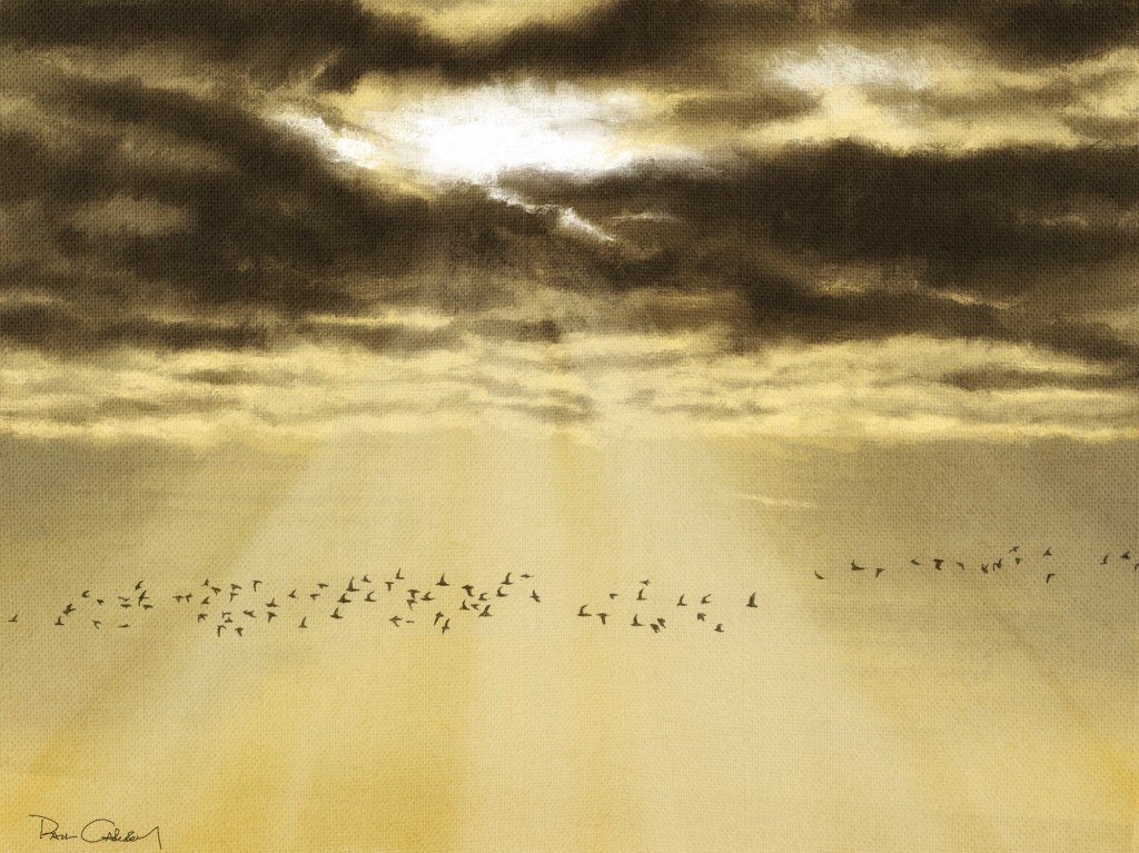 Near Death Experiences