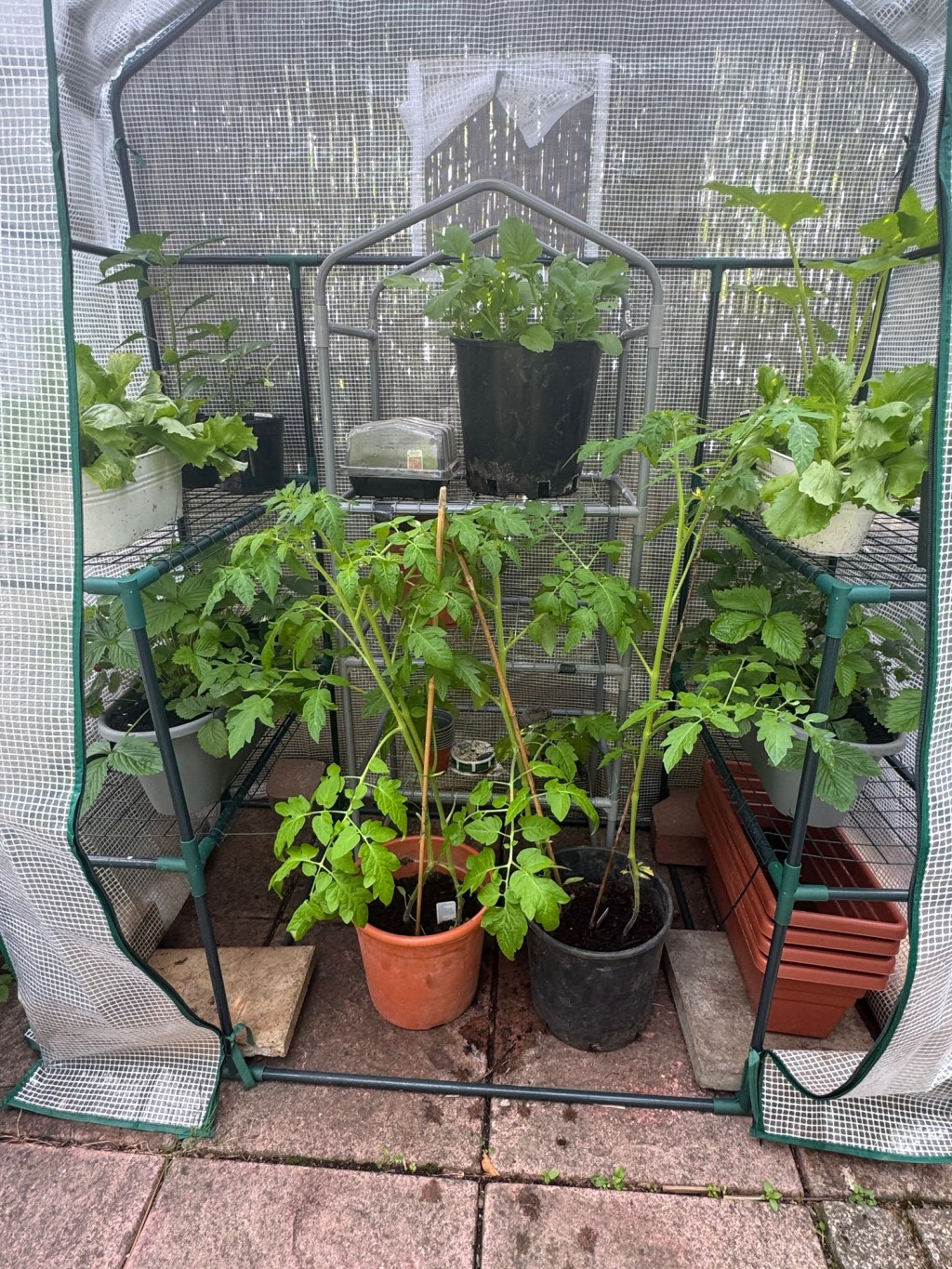 The art of&nbsp;growth