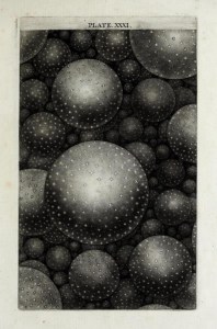 Illustration from Thomas Wright's 'An Original Theory or New Hypothesis of the Universe', 1750