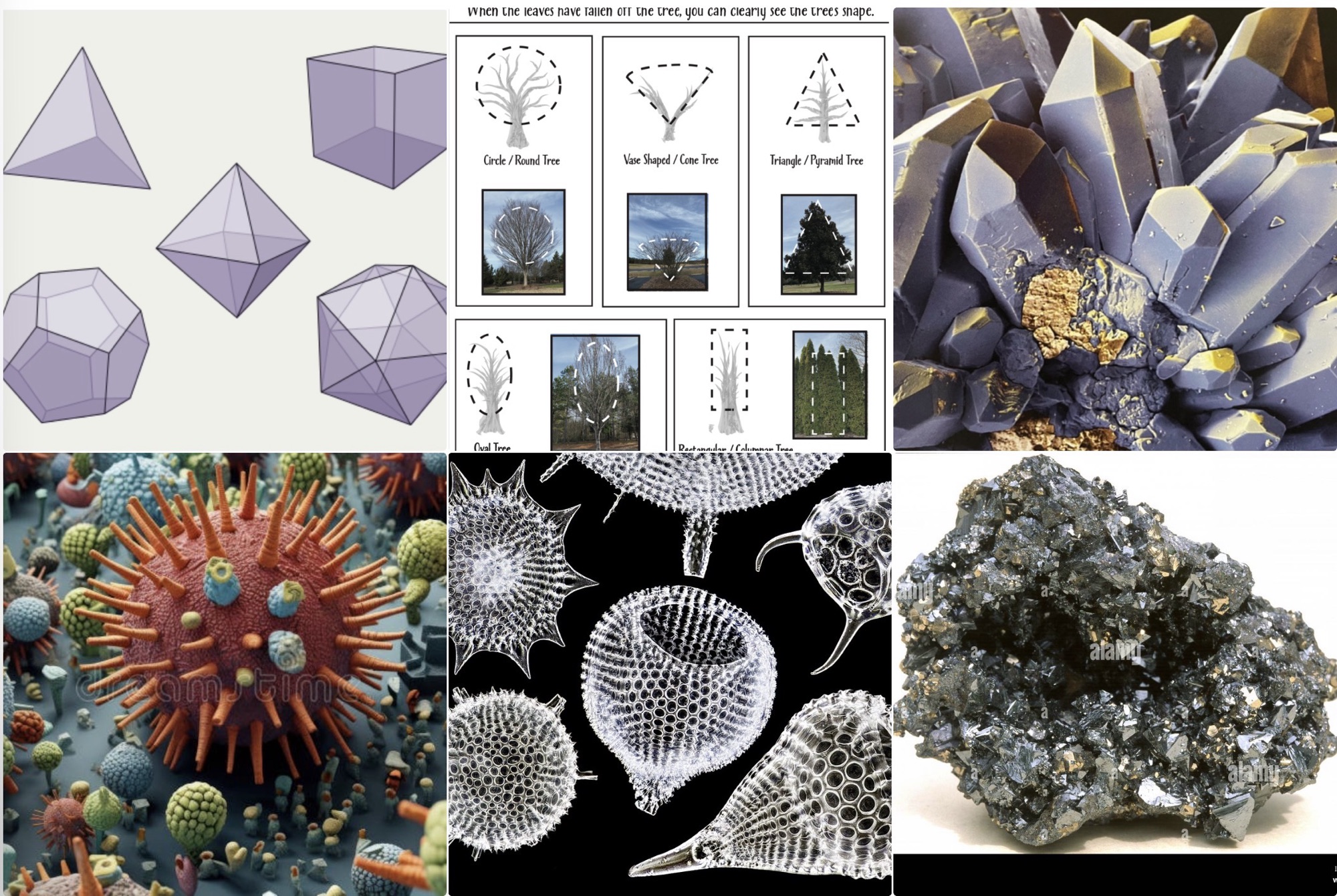 Where does mathematics come from?